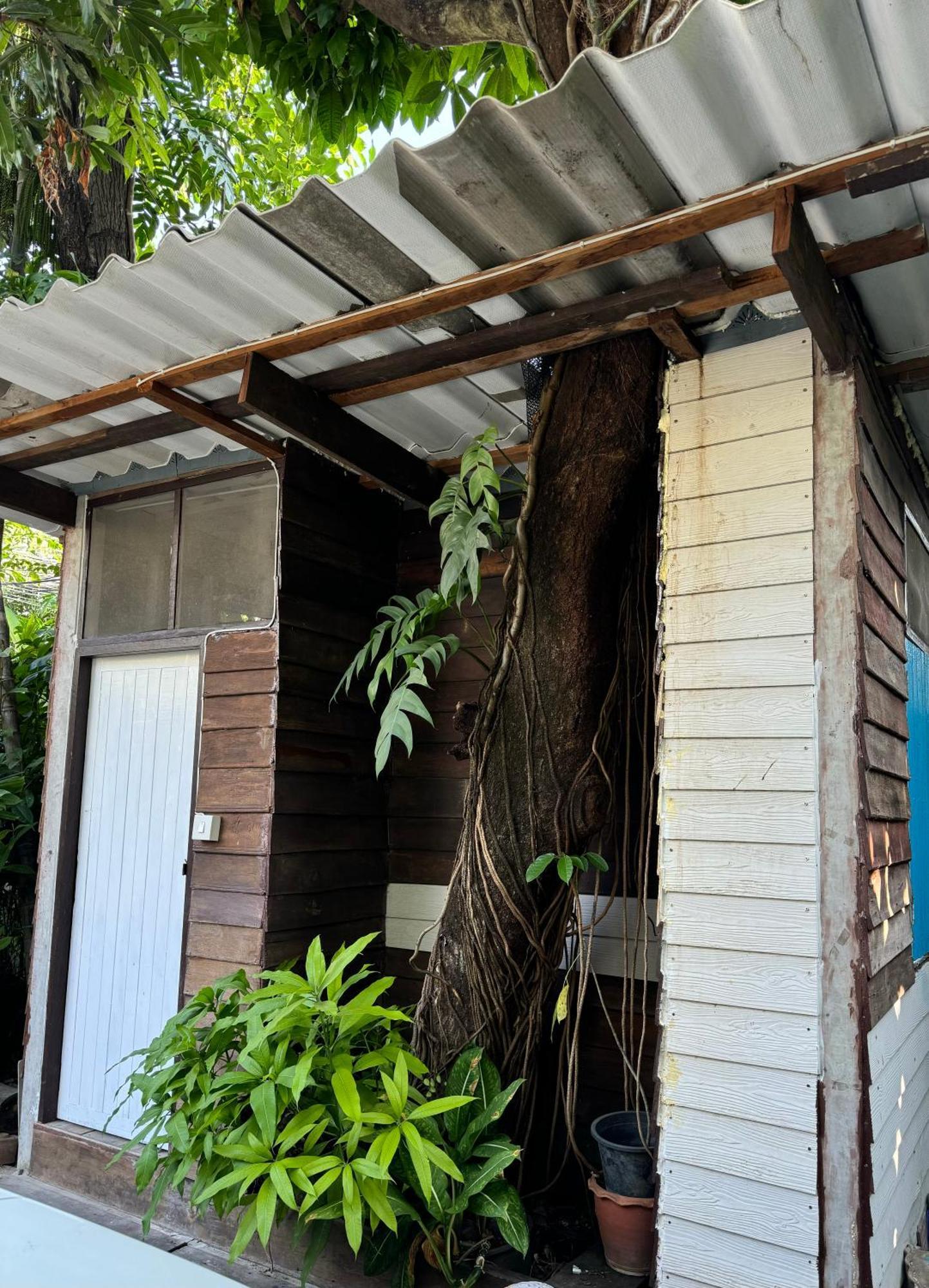 Many Trees Daire Bangkok Dış mekan fotoğraf